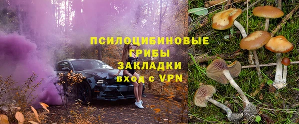 твердый Корсаков