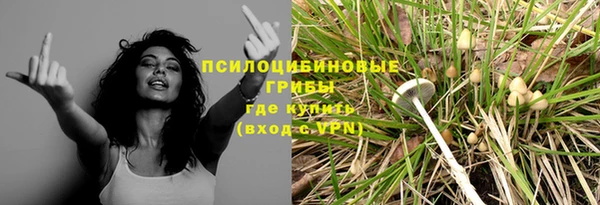 трава Костерёво